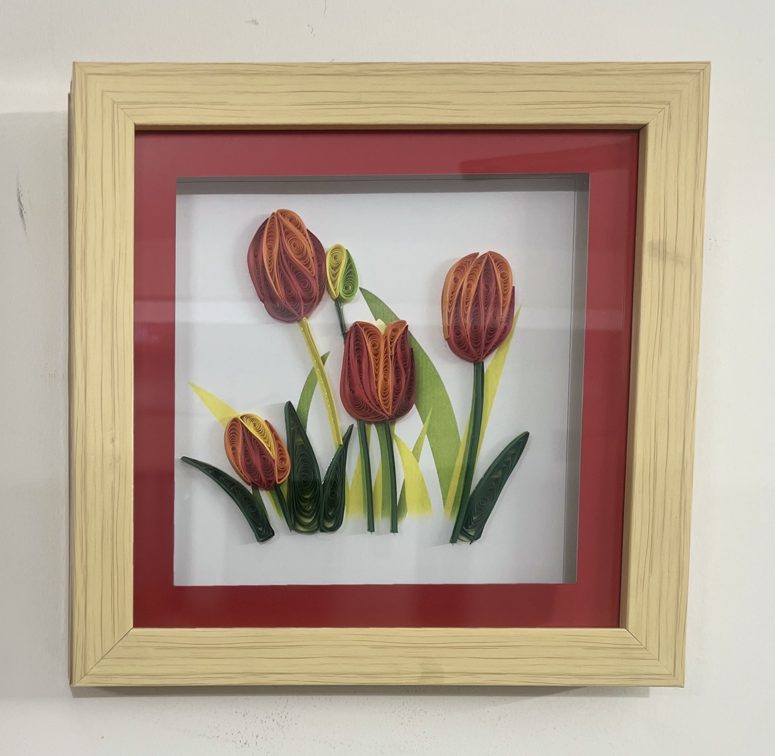 Tulip Flowers