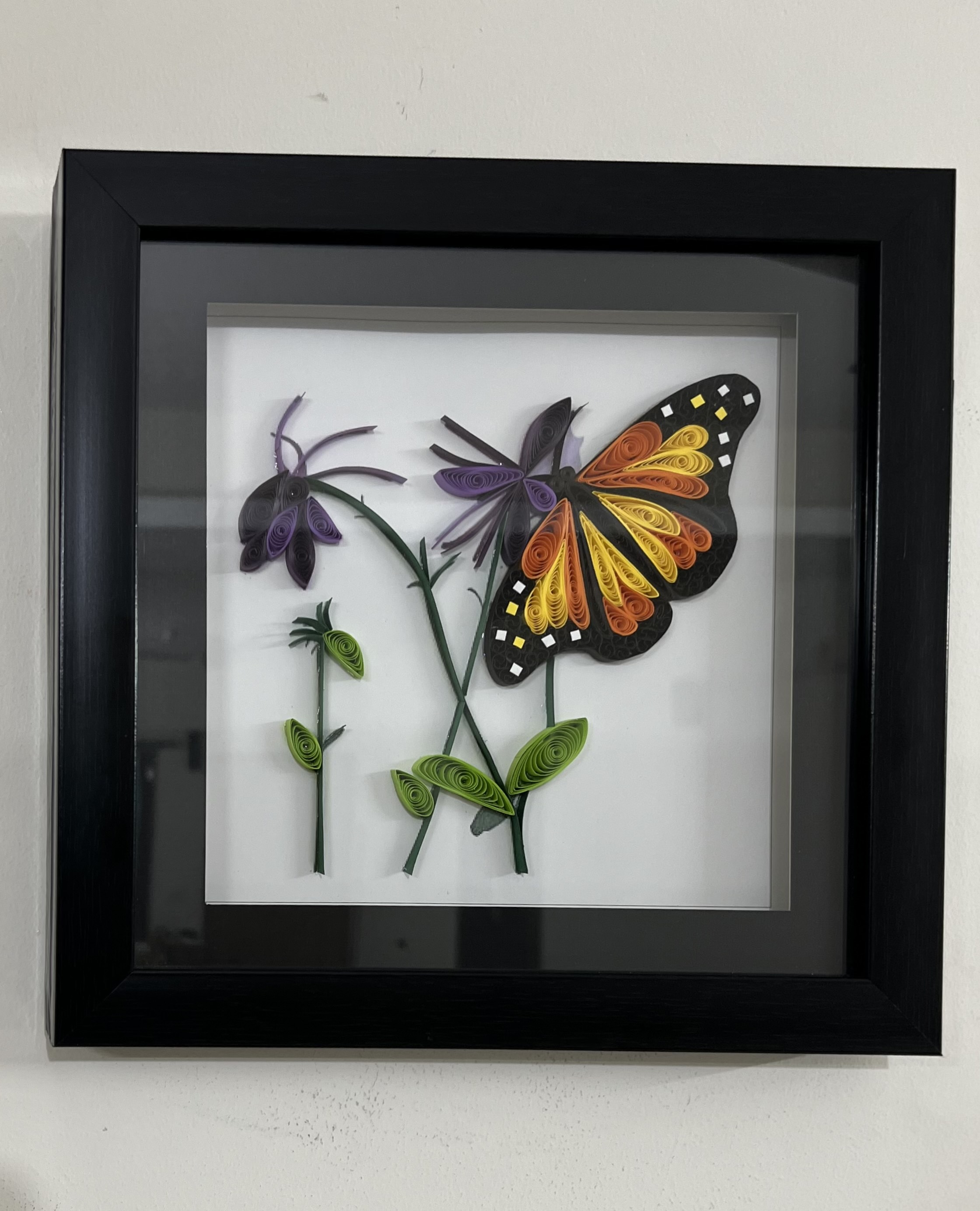 Colourful Butterfly